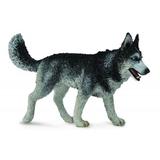 Caine Husky Siberian L - Animal figurina