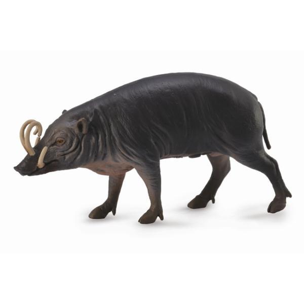 Porc sulawesi babirusa l - animal figurina