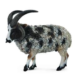 Jacob sheep l - animal figurina