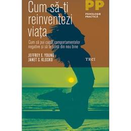 Cum sa-ti reinventezi viata - jeffrey e. young, janet s. klosko, editura trei