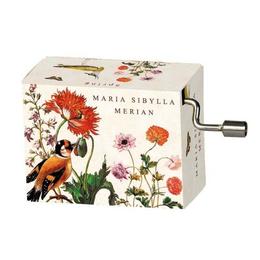 Flasneta maria sibylla merian - pasari - vivaldi spring