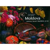 Moldova: oameni, locuri, bucatarie si vin - Angela Brasoveanu, Roman Rybaleov, editura Cartier