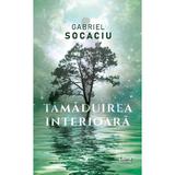 Tamaduirea interioara - Gabriel Socaciu, editura Libris Editorial