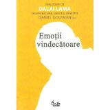 Emotii vindecatoare. Dialoguri cu Dalai Lama despre ratiune, emotii si sanatate - Daniel Goleman, editura Curtea Veche