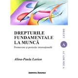 Drepturile fundamentale la munca - Alina-Paula Larion, editura Institutul European