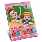 Provocari pentru Agerica - Clasa 3 - Tamara Lenta, Inesa Tautu, editura Dorinta