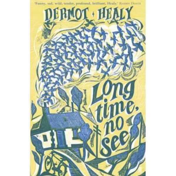 Long time, no see - dermot healy, editura faber   faber