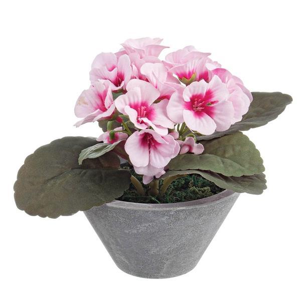 Viorele in ghiveci roz diametru 11.5 cm x 13h
