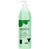 Sampon Neutru cu Menta - Yunsey Professional Neutral Shampoo Mint, 1000 ml