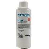 Oxidant - Yunsey Professional Oxidant Cream, 6% - 20 Vol, 1000ml