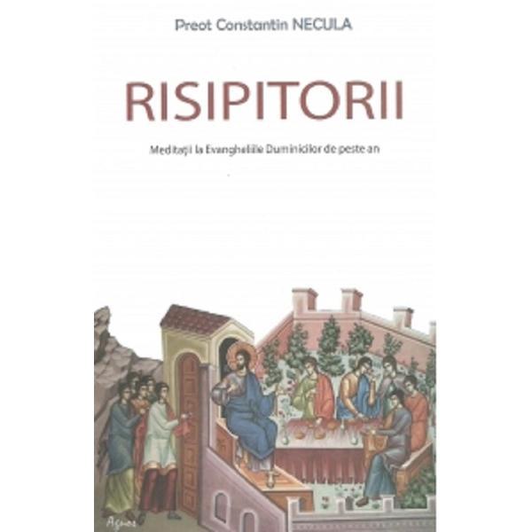 Risipitorii - Constantin Necula, editura Agnos