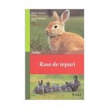 Rase de iepuri - Petra Ahrens, editura Mast