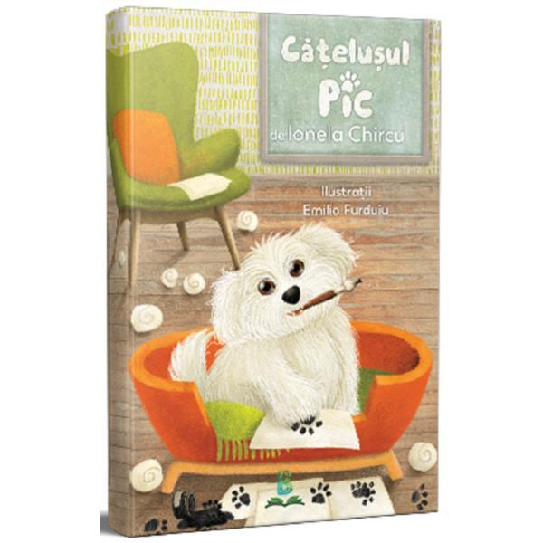 Catelusul pic - ionela chircu, editura berg