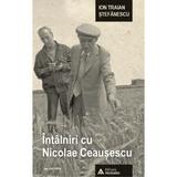 Intalniri cu Nicolae Ceausescu - Ion Traian Stefanescu, editura Mediafax