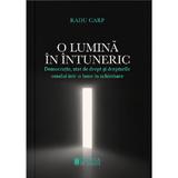O lumina in intuneric - Radu Carp, editura Cetatea De Scaun
