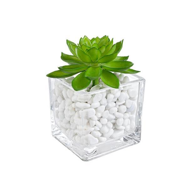 Planta artificiala suculenta verde in ghiveci sticla decorat cu piatra alba 5 cm x 5 cm x 10 h - Decorer