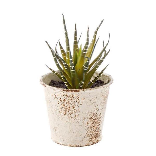 Planta artificiala suculenta in ghiveci metal alb patinat 10 cm x 10 cm x 11 h - decorer