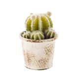 Cactus artificial BI - Decorer