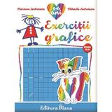 Exercitii grafice 5-6 ani - Mariana Andreianu,Mihaela Andreianu, editura Diana
