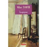 In asteptare - Mihai Zamfir, editura Polirom