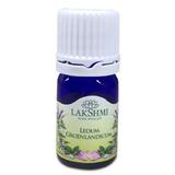 Ulei Esential Rozmarin Salbatic (Ledum) Lakshmi, 2 ml