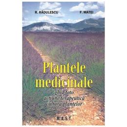 Plantele medicinale - R. Radulescu, F. Matei, editura Mast