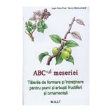 Abc-ul meseriei - Jean-Yves Prat, editura Mast