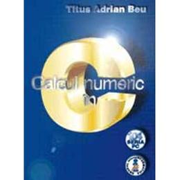 Calculul numeric in C - Titus Adrian Beu, editura Albastra