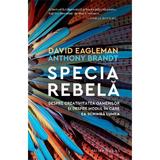 Specia rebela - Anthony Brandt, David Eagleman, editura Humanitas