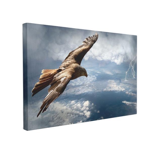Tablou canvas vultur deasupra furtunii, 50 x 70 cm, 100% bumbac