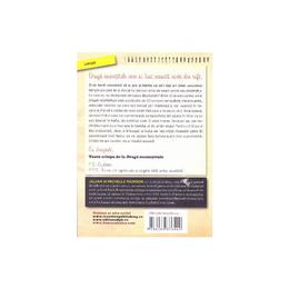 Draga nesimtitule - jillian madison, michelle madison, editura didactica publishing house
