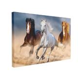 Tablou Canvas Three Horse in Desert, 40 x 60 cm, 100% Bumbac