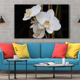 tablou-canvas-orhidee-alba-70-x-100-cm-100-bumbac-3.jpg