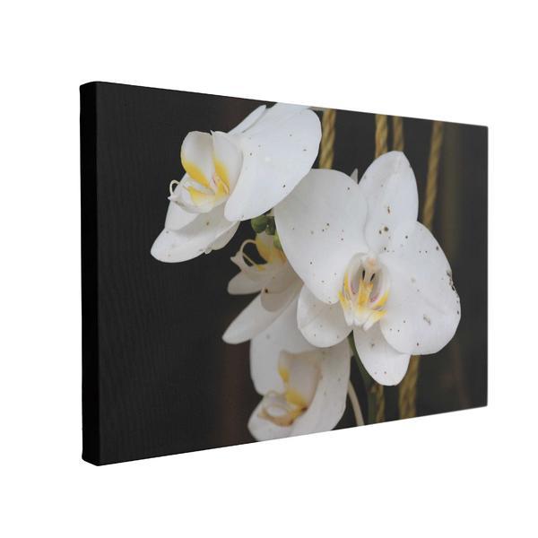 Tablou Canvas Orhidee Alba, 50 x 70 cm, 100% Bumbac