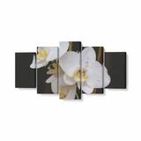Tablou MultiCanvas 5 piese, Orhidee Alba, 100 x 50 cm, 100% Poliester