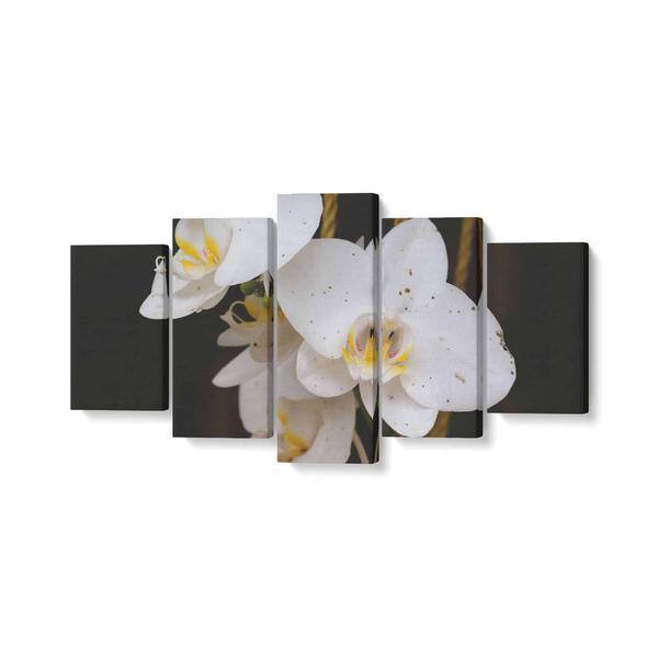 Tablou multicanvas 5 piese, orhidee alba, 100 x 50 cm, 100% poliester