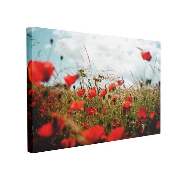 Tablou canvas maci in lanul de grau, 50 x 70 cm, 100% poliester