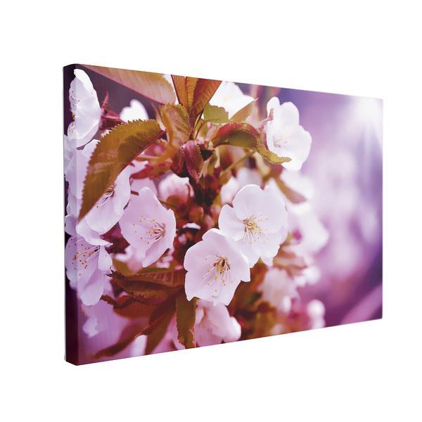 Tablou canvas cherry blossoms, 60 x 90 cm, 100% bumbac
