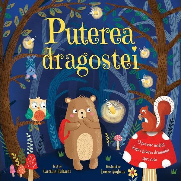 Puterea dragostei - caroline richards, louise anglicas, editura univers enciclopedic