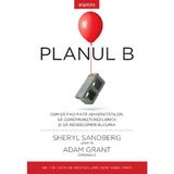Planul B - Sheryl Sandberg, Adam Grant, editura Litera