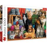 Puzzle 1000 trefl intalnirea pisicutelor