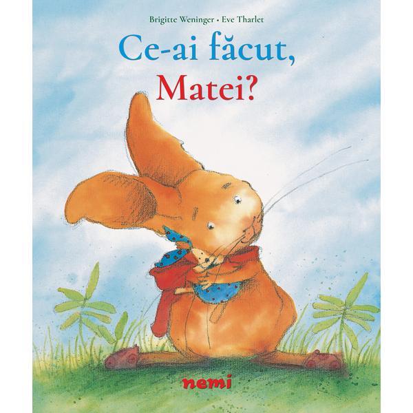 Ce ai făcut Matei? autor Brigitte Weninger Eve Tharlet, editura Nemi