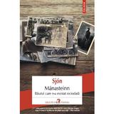 Manasteinn. Baiatul care n-a existat niciodata - Sjon, editura Polirom