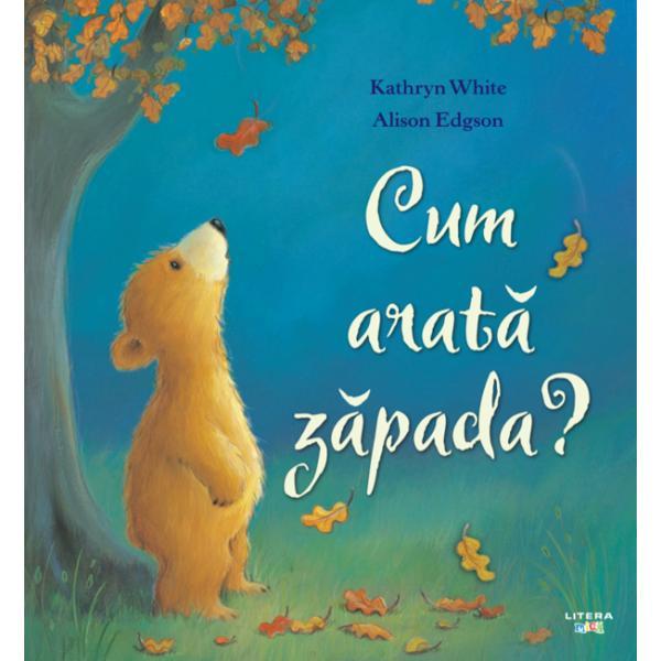 Cum arata zapada? - Kathryn White, Alison Edgson, editura Litera
