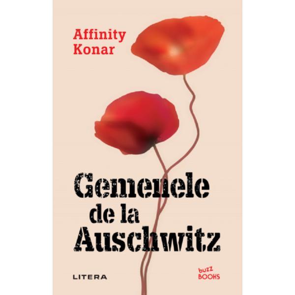 Gemenele de la Auschwitz - Affinity Konar, editura Litera