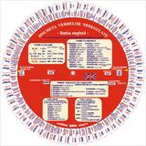 Discheta Verbelor Neregulate - Limba Engleza - Camelia Stan, Dragos Stan, editura Verba