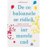 De ce baloanele se ridica si merele cad -  Jeff Stewart, editura Didactica Publishing House