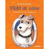 Viata de caine - Sasa Ciornii, editura Grupul Editorial Art