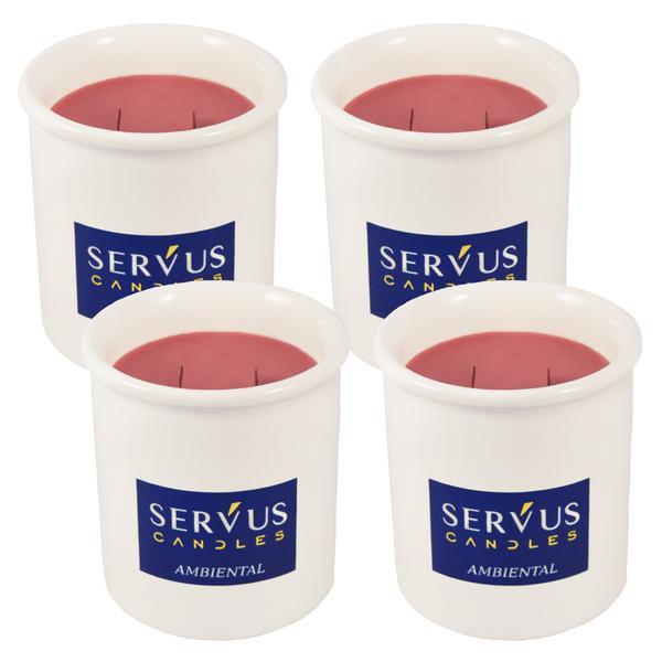 Set 4 lumanari parfumate ambiental , cu 2 fitiluri din lemn