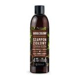 Sampon antimatreata cu ridichii negre Herbal Barwa Cosmetics, 250ml